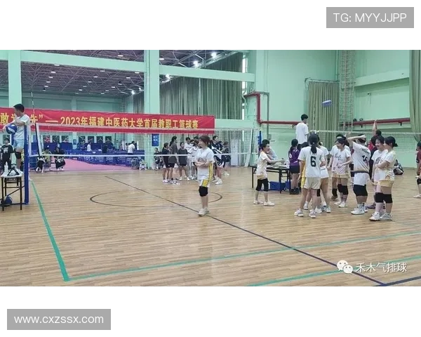 南京排球队战术创新与团队协作的深度解析与展望