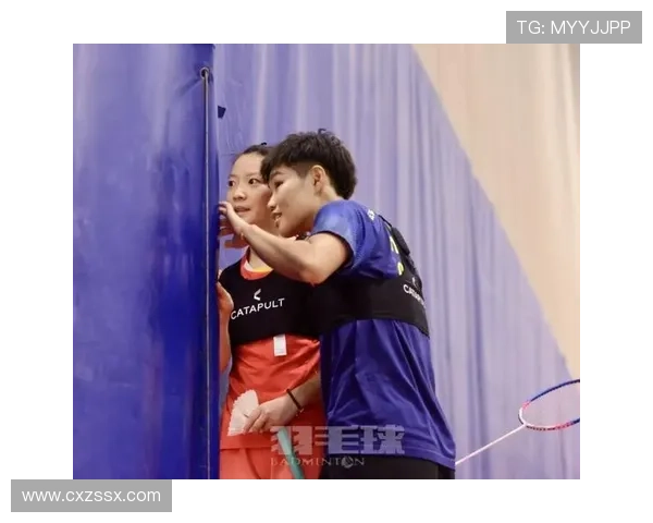 深圳羽毛球队与北京羽毛球队赛后技术分析与战术总结